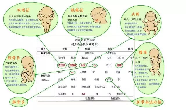 b超招聘_X光 CT 磁共振 B超,一招教你明白该做哪些检查